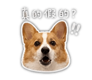 857406024