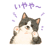 857406654