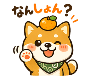 857407017