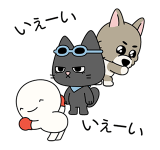 857407662