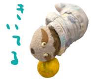 857411582