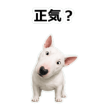 857411720