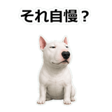857411724