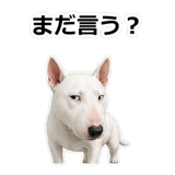 857411740