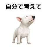 857411742