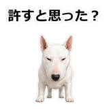 857411743