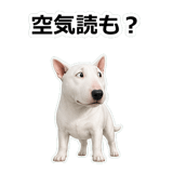 857411748