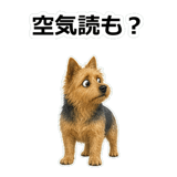 857411940