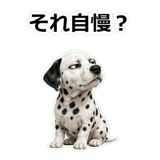 857412020