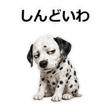 857412022