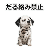 857412025