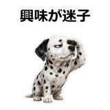 857412028