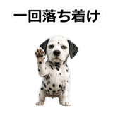 857412030
