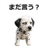 857412036