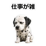 857412040