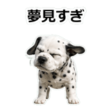 857412045