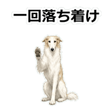857412494