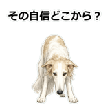 857412497