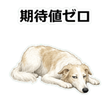 857412498