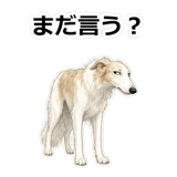 857412500