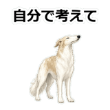 857412502