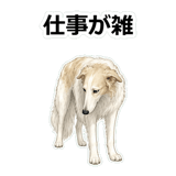 857412504