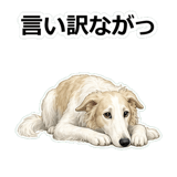 857412505