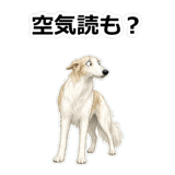 857412508