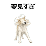 857412509