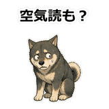 857412972