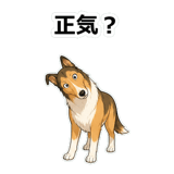 857413296
