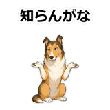 857413307