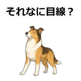 857413309