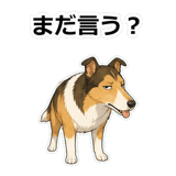 857413316