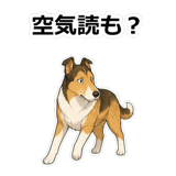 857413324