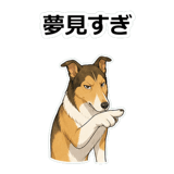 857413325