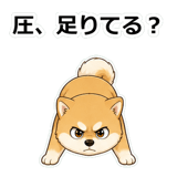 857413353