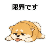 857413362