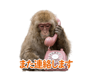 857413583