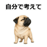 857414382