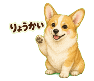 857414914