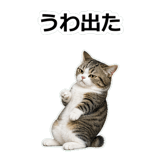 857415181