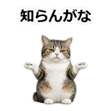 857415195