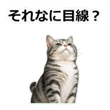 857415197