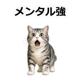 857415200