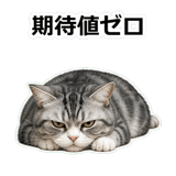 857415202