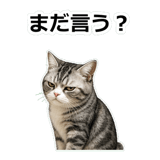 857415204