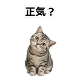 857415504