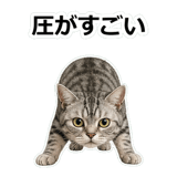 857415509