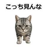 857415523